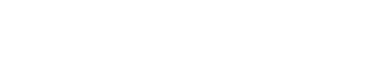 DSS Metro Private Security Executive Protection Group LCC
